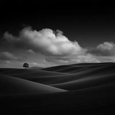 Minimalist black and white landscape