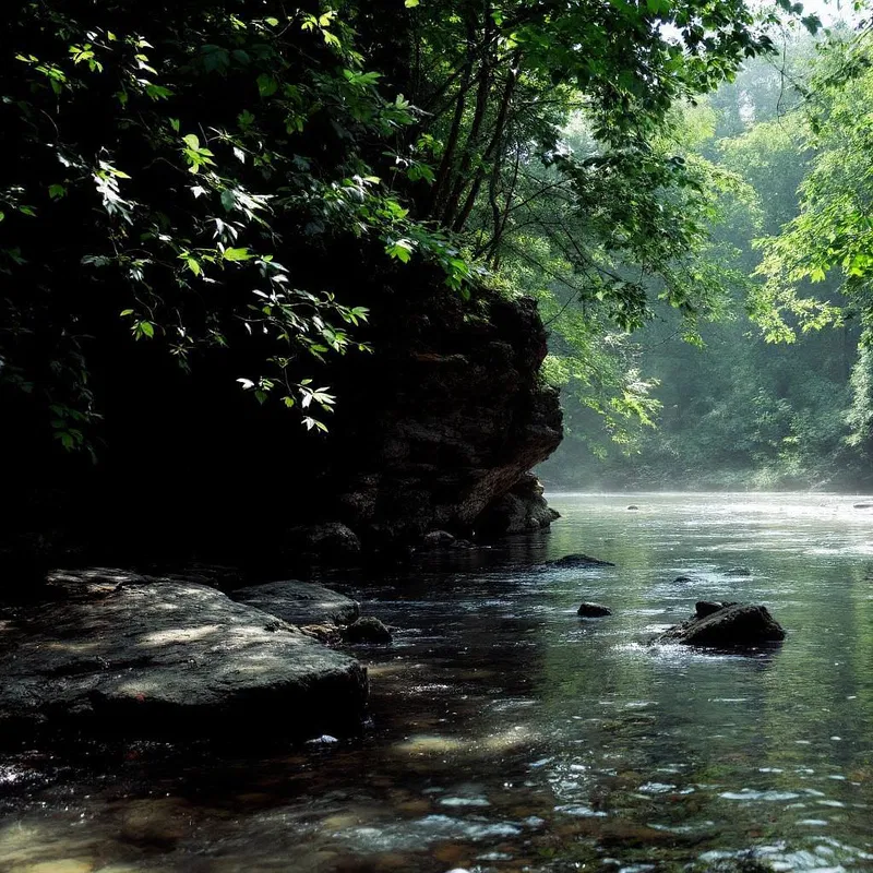 A quiet river flowing through a forest