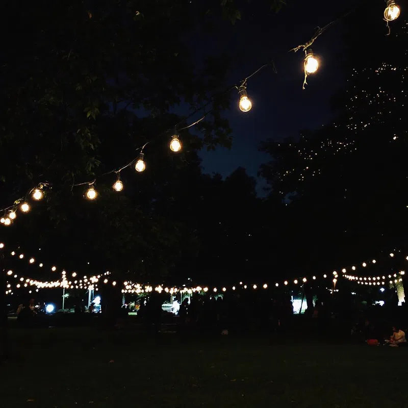 AI-generated image of a serene park event at night