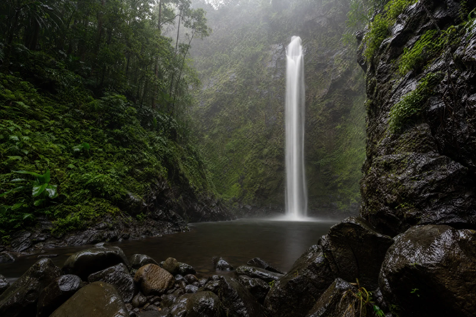 Rainforest waterfall with silky long-exposure water, wet rocks, and soft overcast light.