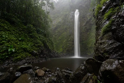 Rainforest waterfall with silky long-exposure water, wet rocks, and soft overcast light.