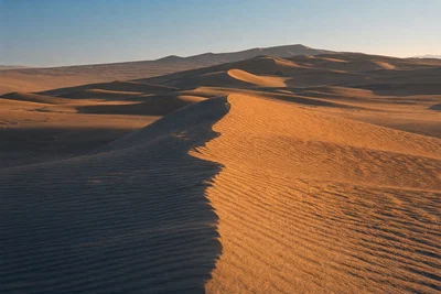 Raked-light desert dunes with rippled texture, long shadows, and warm Ektar-style color.