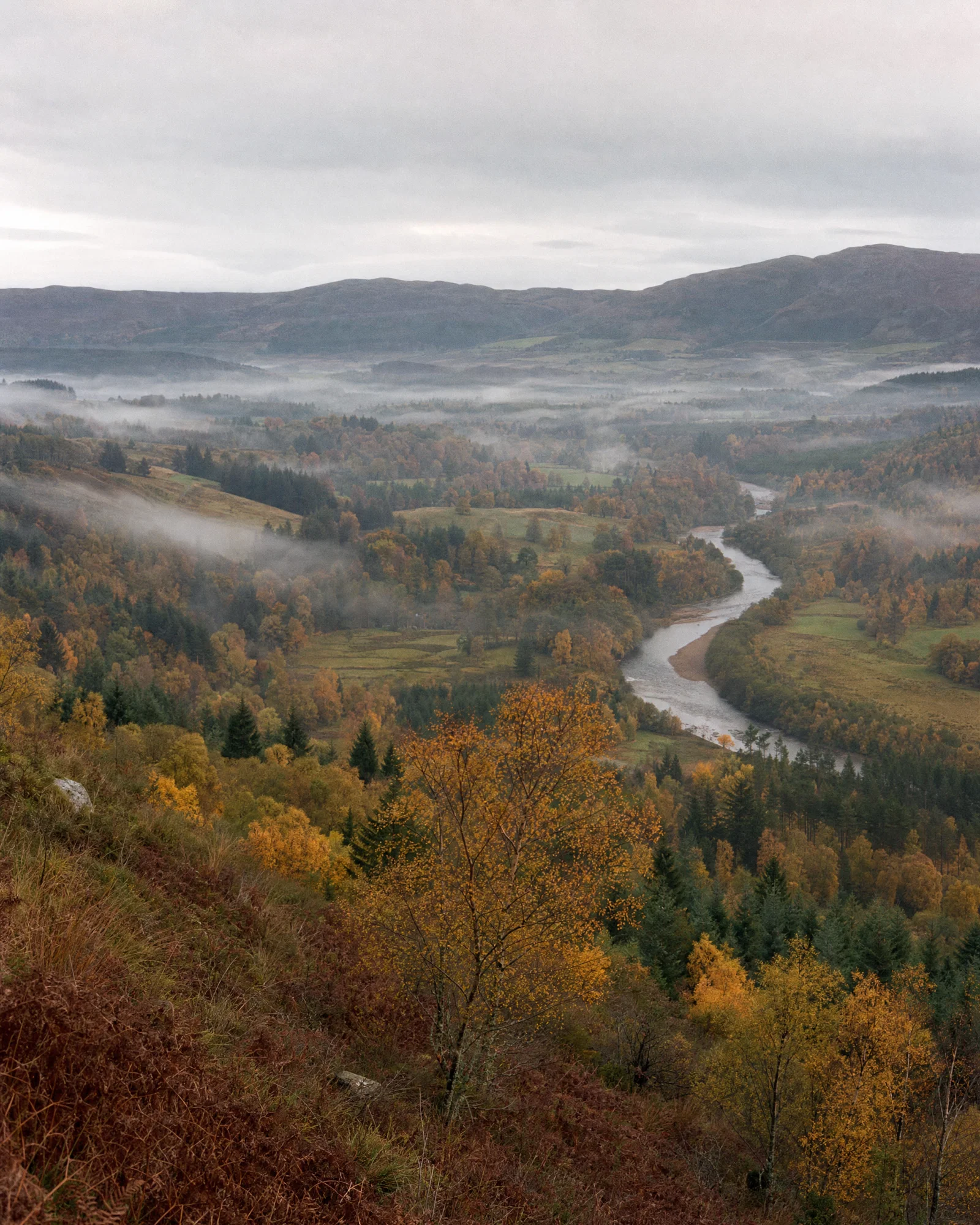 Vertical autumn valley with river and mist under flat overcast light, pastel film-like color.