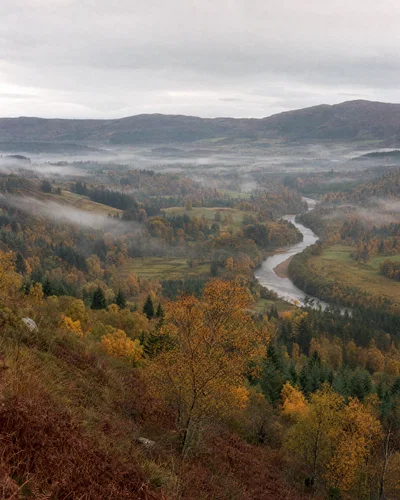 Vertical autumn valley with river and mist under flat overcast light, pastel film-like color.