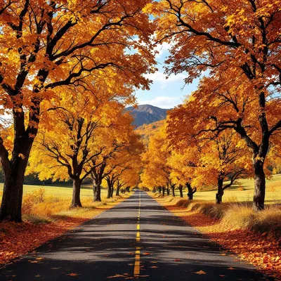 Picturesque autumn road with arching trees