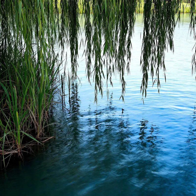 AI-designed tranquil river bend